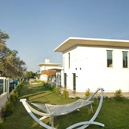 Hotel The D 4*
