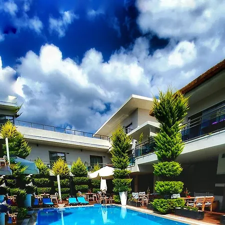 Hotel The D