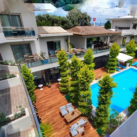 The D Hotel 4*