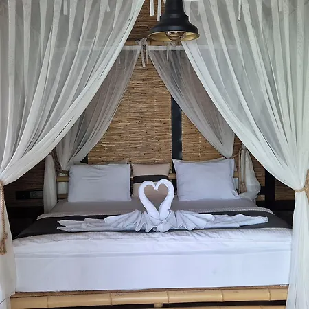 Hotel The D 4*