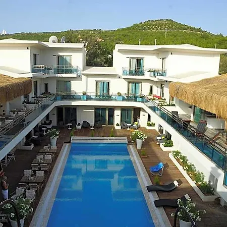 Hotel The D 4*