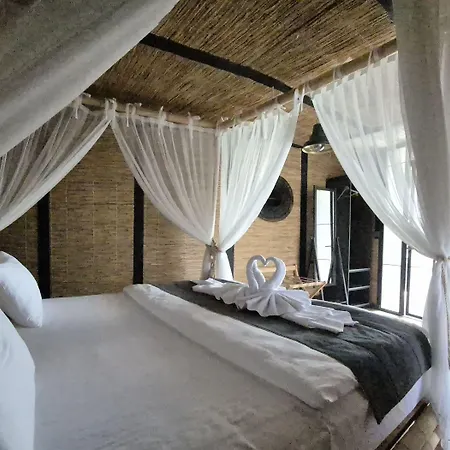 The D Hotel